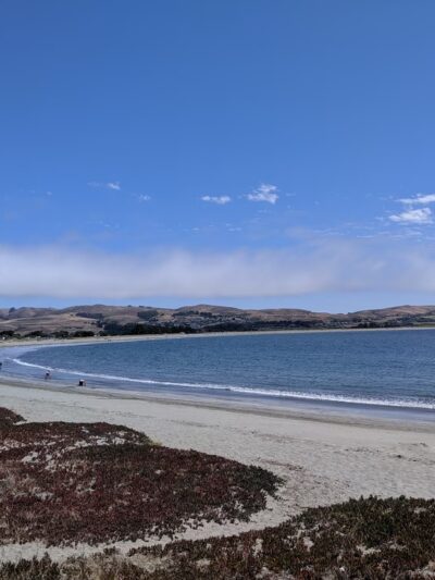 The Dog House - Bodega Bay, CA