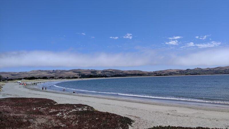 The Dog House - Bodega Bay, CA