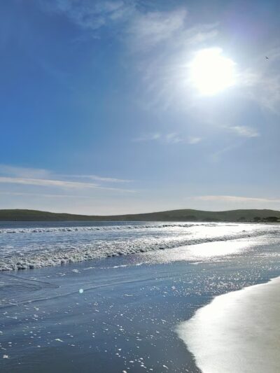 The Dog House - Bodega Bay, CA