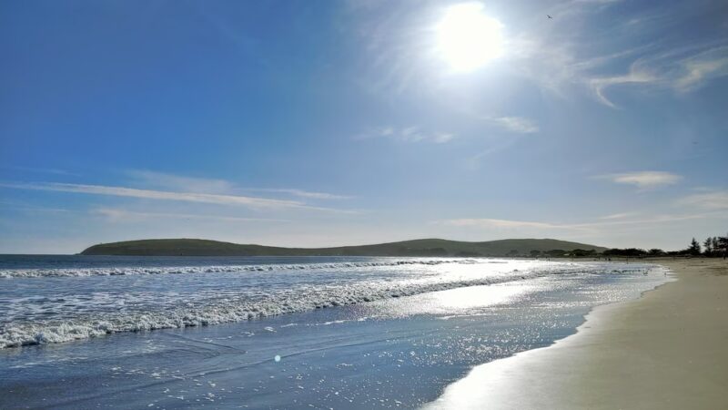 The Dog House - Bodega Bay, CA