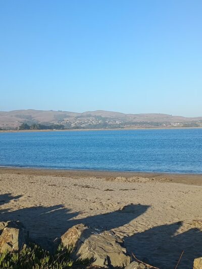 The Dog House - Bodega Bay, CA