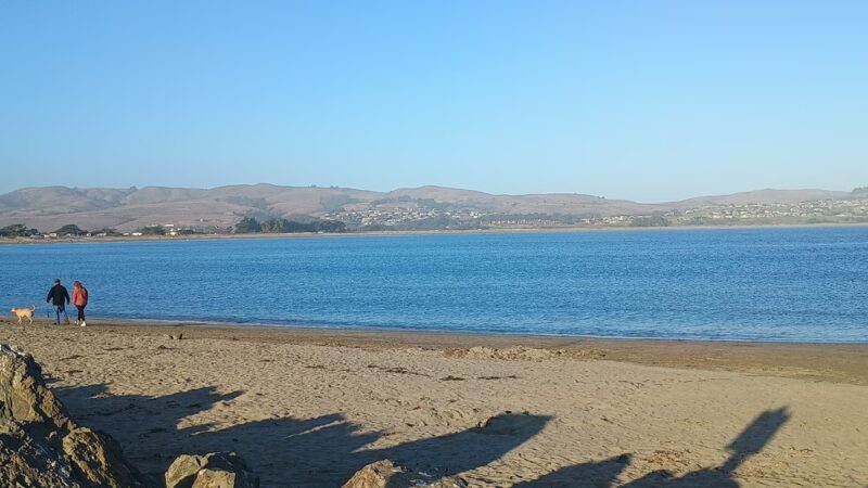 The Dog House - Bodega Bay, CA