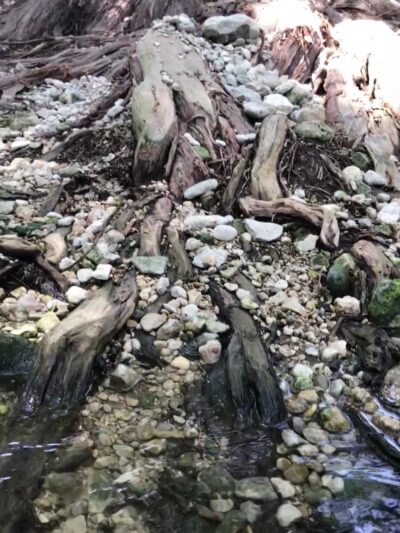 Boerne City Park - Boerne, TX