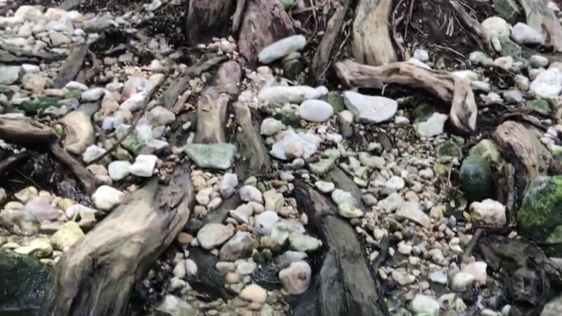 Boerne City Park - Boerne, TX