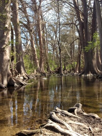Boerne City Park - Boerne, TX