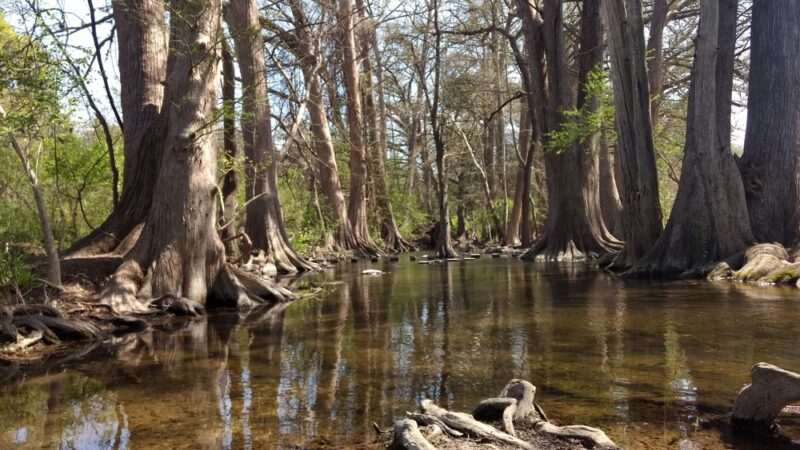Boerne City Park - Boerne, TX