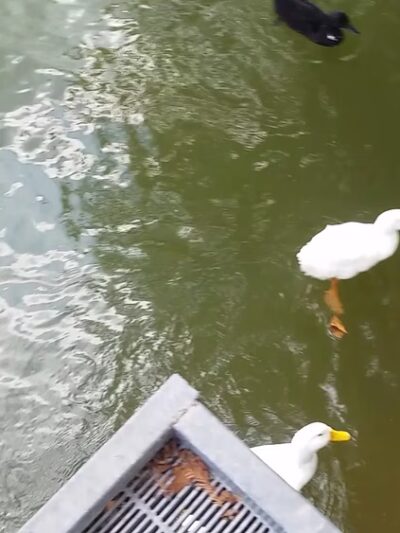 River Road Park - Boerne, TX