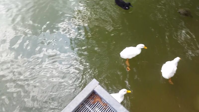 River Road Park - Boerne, TX