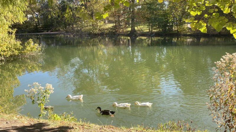 River Road Park - Boerne, TX