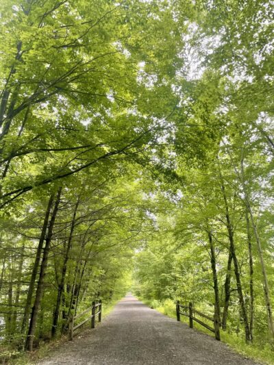 Ashokan Rail Trail- Boiceville Bridge Trailhead - Boiceville, NY