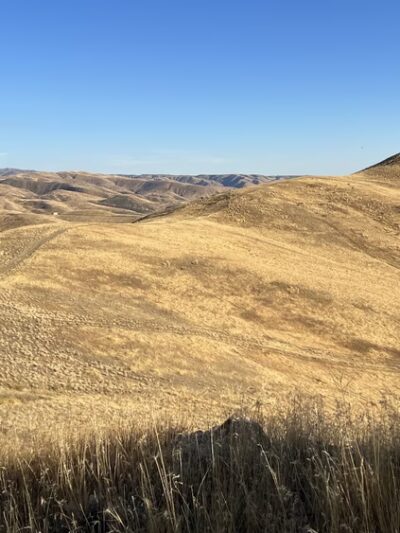 14 Tram Trail Trailhead - Boise, ID