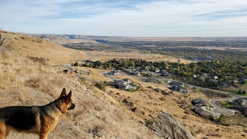 14 Tram Trail Trailhead - Boise, ID