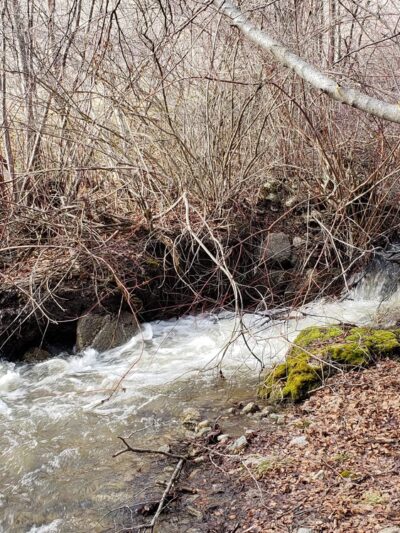 #78 Dry Creek Trail - Boise, ID