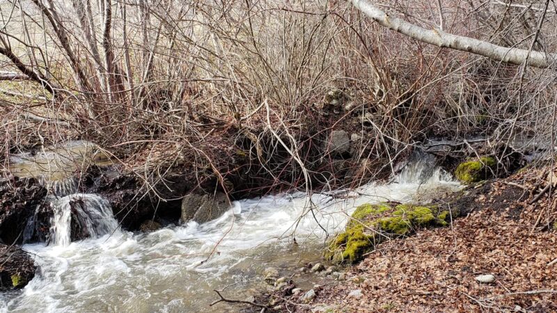 #78 Dry Creek Trail - Boise, ID