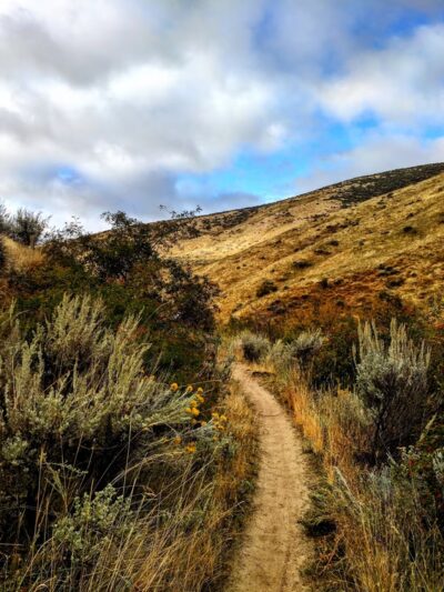 #78 Dry Creek Trail - Boise, ID