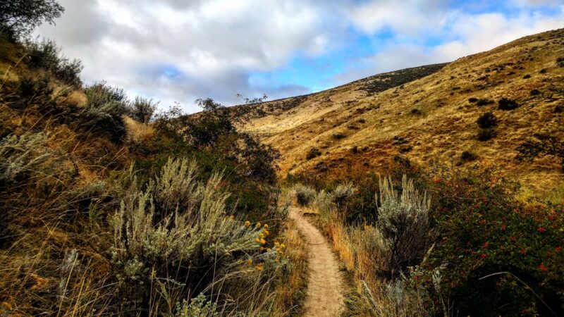 #78 Dry Creek Trail - Boise, ID