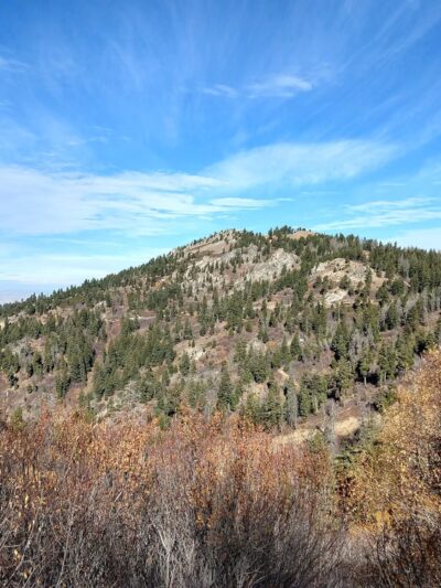 #78 Dry Creek Trail - Boise, ID