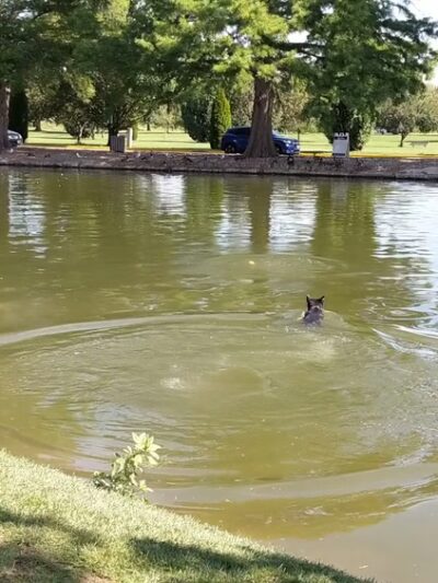 Ann Morrison Park - Boise, ID