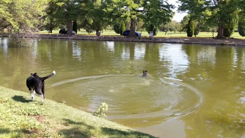 Ann Morrison Park - Boise, ID