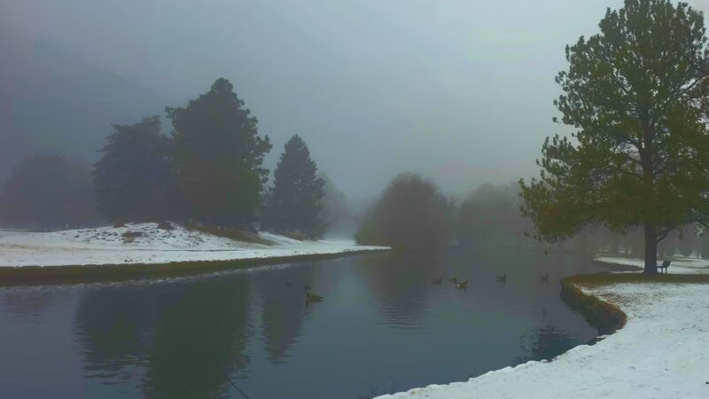 Ann Morrison Park Duck Ponds - Boise, ID