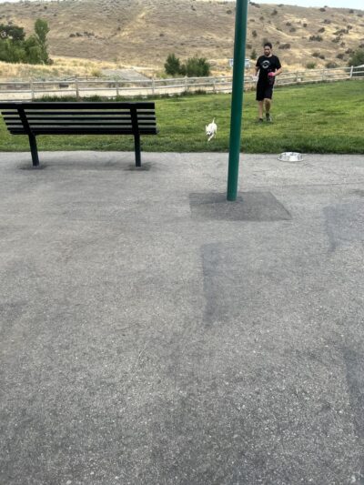 Boise Bike Park - Boise, ID