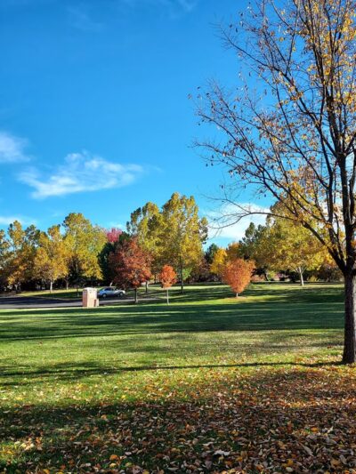 Florence Park - Boise, ID