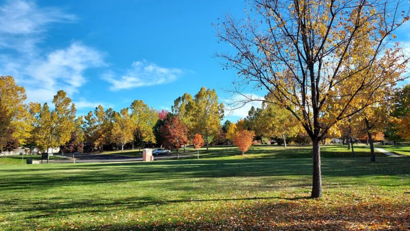 Florence Park - Boise, ID