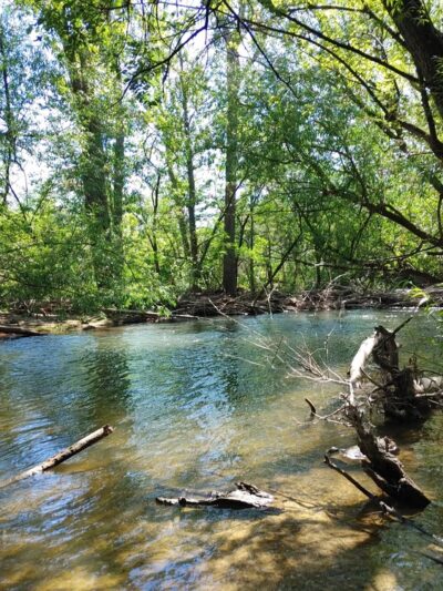 Greenbelt Access - Boise, ID