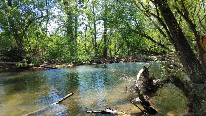 Greenbelt Access - Boise, ID