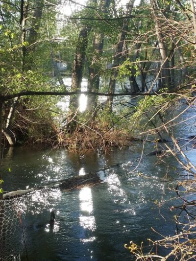 Greenbelt Access - Boise, ID