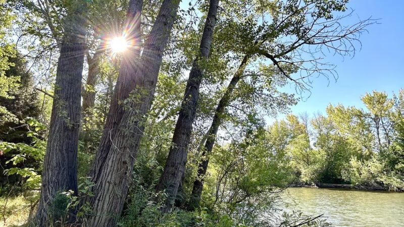 Greenbelt Access - Boise, ID