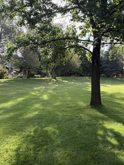 Jullion Park - Boise, ID