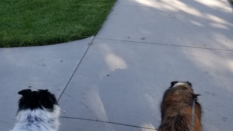 Jullion Park - Boise, ID