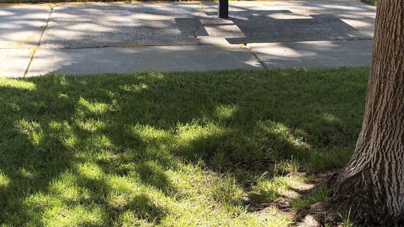 Kroeger Park - Boise, ID