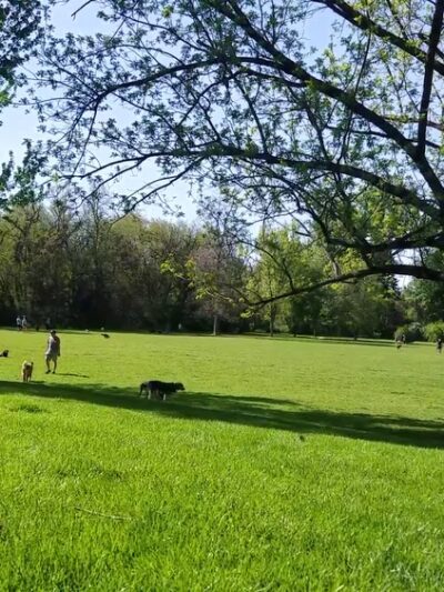 Manitou Park - Boise, ID