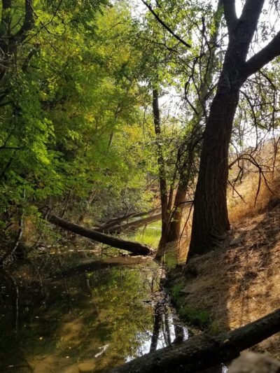 Manitou Park - Boise, ID