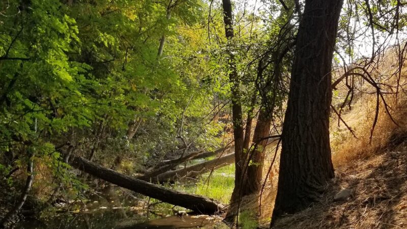 Manitou Park - Boise, ID