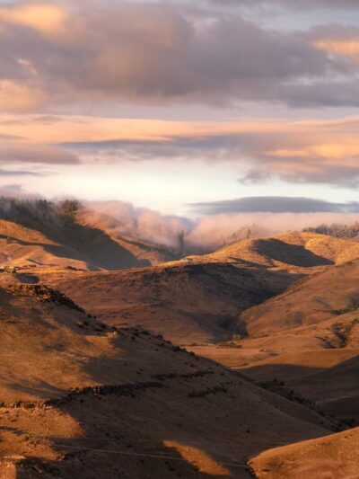 Moxie Ridge Park - Boise, ID