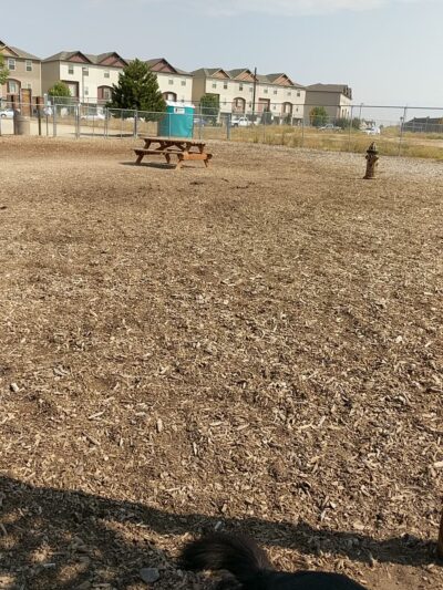 Pine Grove Park - Boise, ID