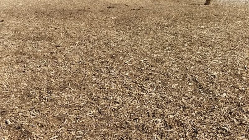 Pine Grove Park - Boise, ID