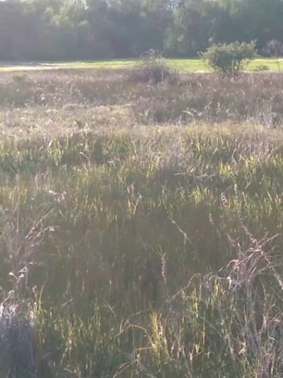 Three Bears Parking and Trailhead - Boise, ID