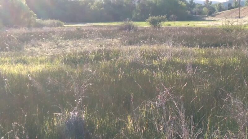Three Bears Parking and Trailhead - Boise, ID