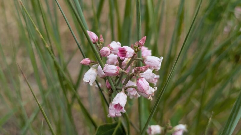 Three Bears Parking and Trailhead - Boise, ID