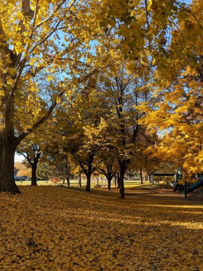 Williams Park - Boise, ID