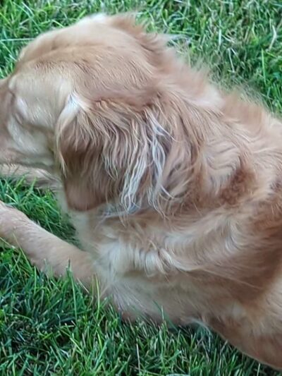 Winstead Park - Boise, ID