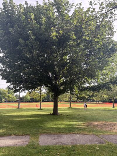 Winstead Park - Boise, ID