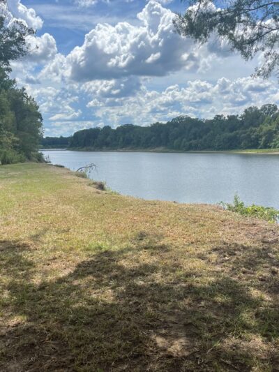 Boligee Bluff RV Park - Boligee, AL