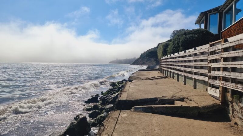 Bolinas Park - Bolinas, CA