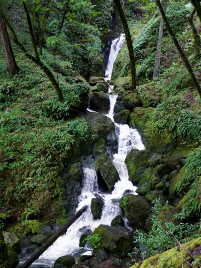 Cataract Trailhead - Bolinas, CA