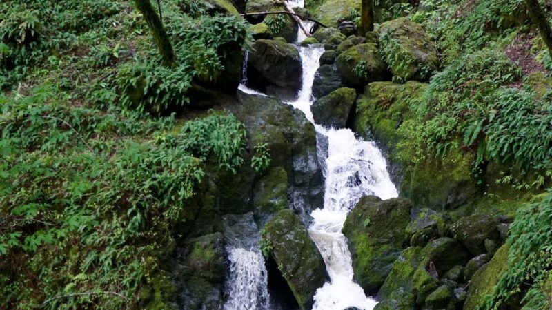 Cataract Trailhead - Bolinas, CA